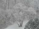 More Snow