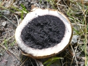 More Earthball