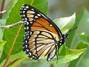July 2011